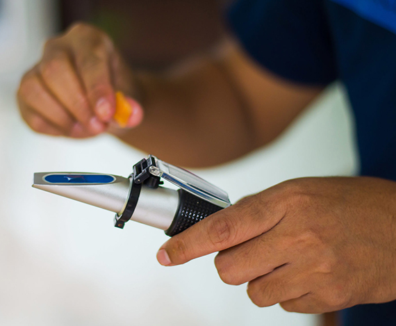 金沙检测线路js95(集团)有限公司官网